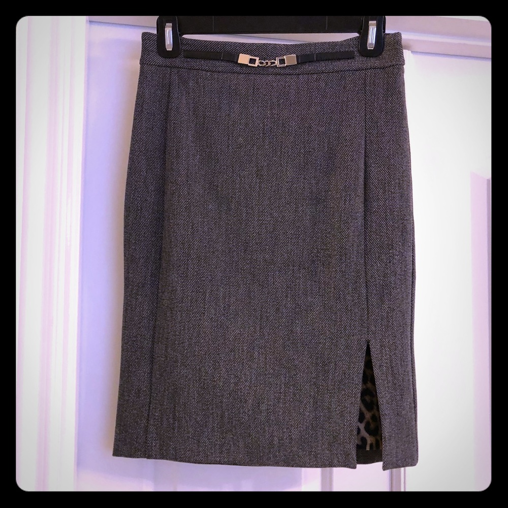 Express Work Skirt